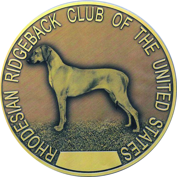 Our Pack of Rhodesian Ridgebacks – Champion Rhodesian Ridgebacks