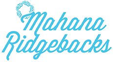 Mahana Logo 231 x 128